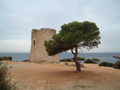 DSCF0023.JPG
